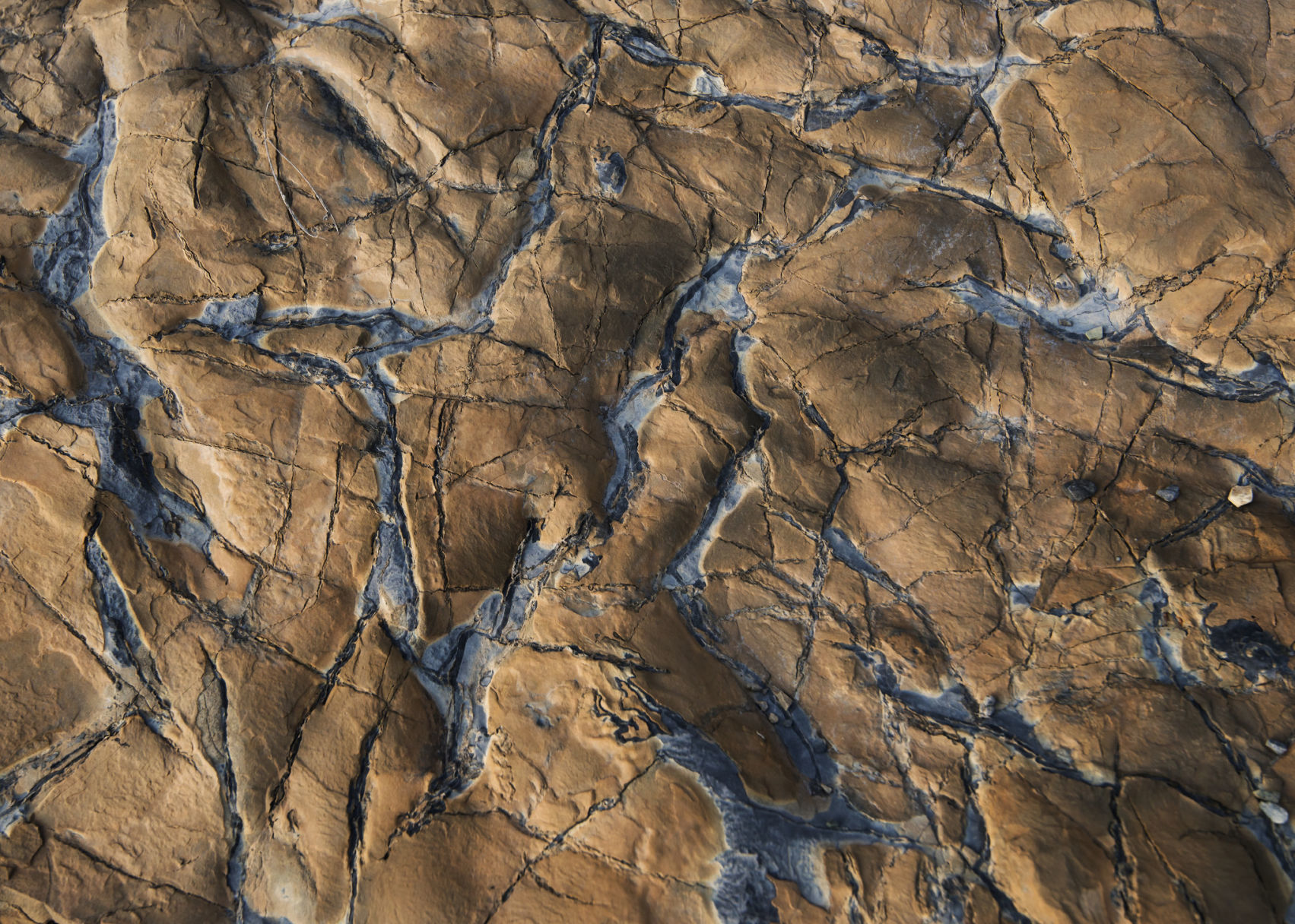 Relief Map at Sunset